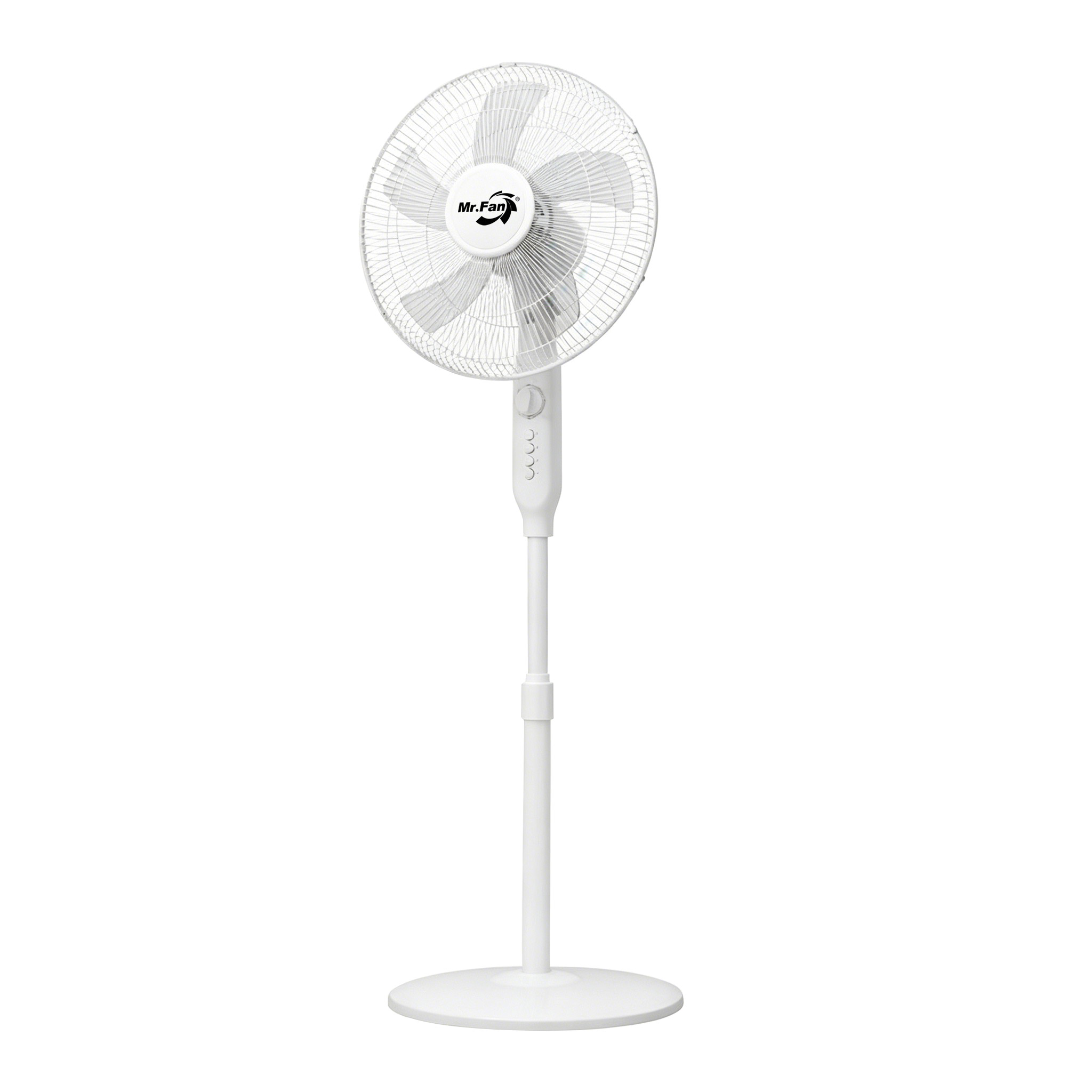 019